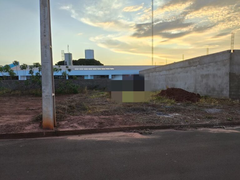 lote-1
