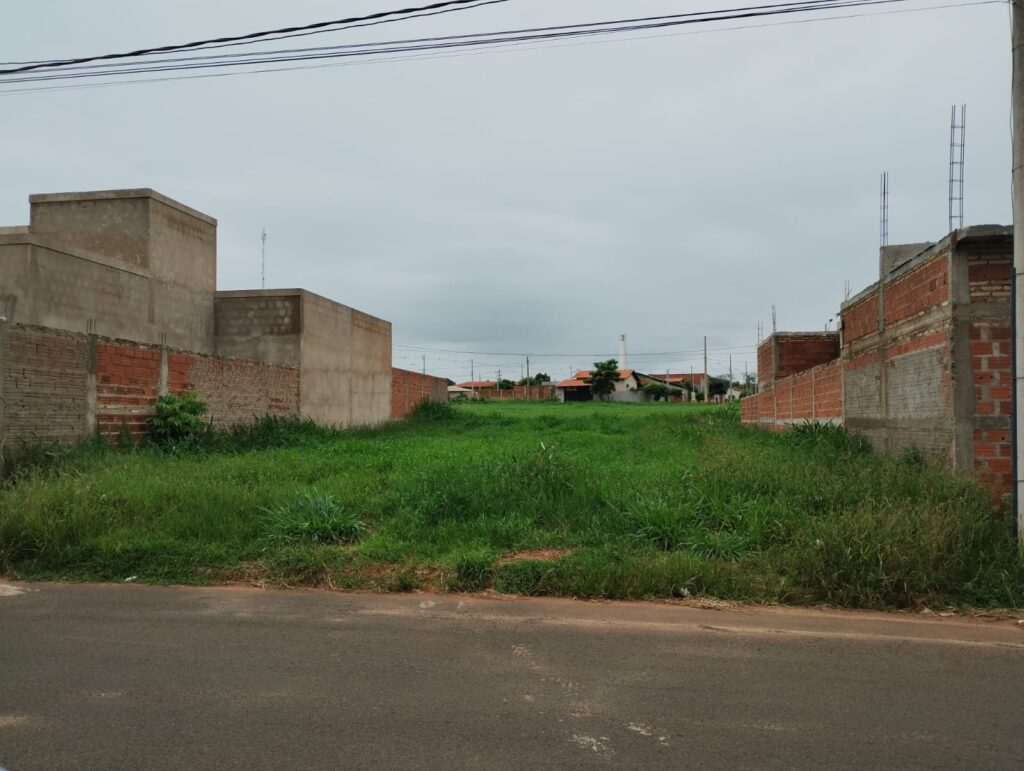 WhatsApp-Image-2026-01-12-at-13.55.04-1-1