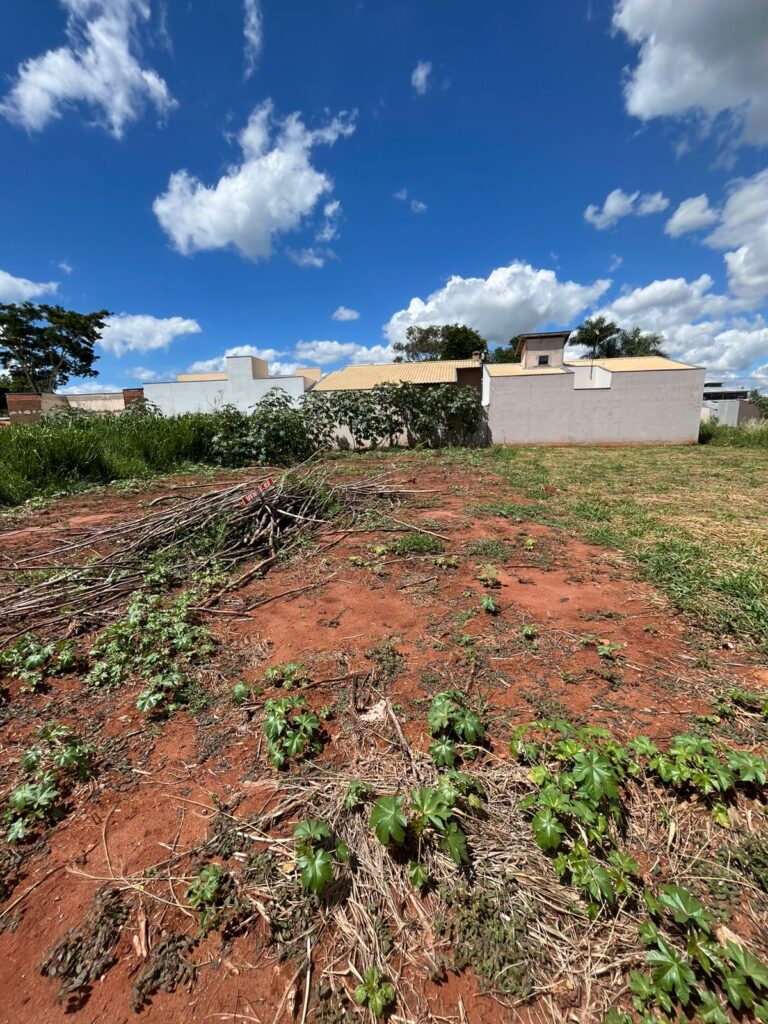 WhatsApp-Image-2026-01-29-at-10.45.38-1-1